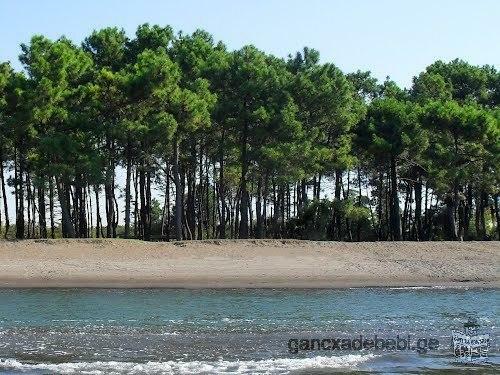 Sur la terre de la mer à 500 mètres