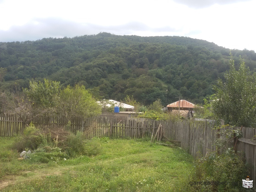 For sale, Kharagauli municipality, village 673 sq.m homestead plot in Borit