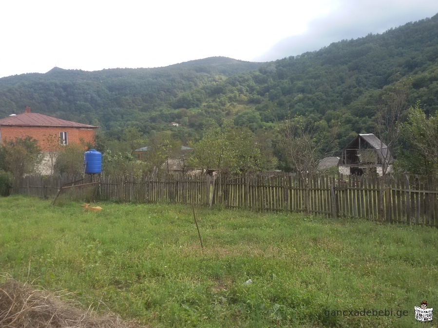 For sale, Kharagauli municipality, village 673 sq.m homestead plot in Borit