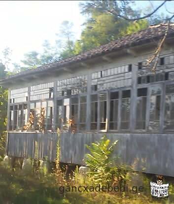 For sale, Kharagauli municipality, village In Borit, 3220 sq.m homestead plot with an oak house