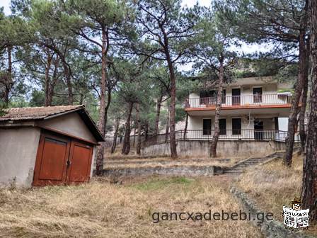 House for sale in Mtskheta