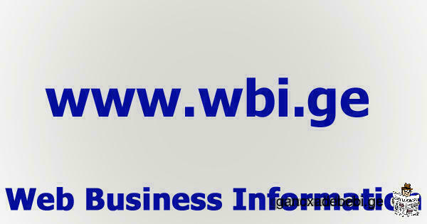 Organization of business information in the web space