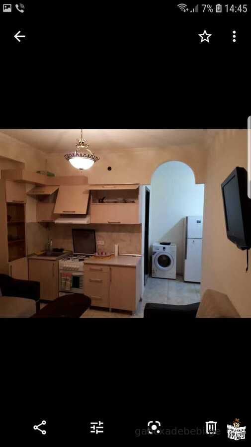 Rent apartment for year