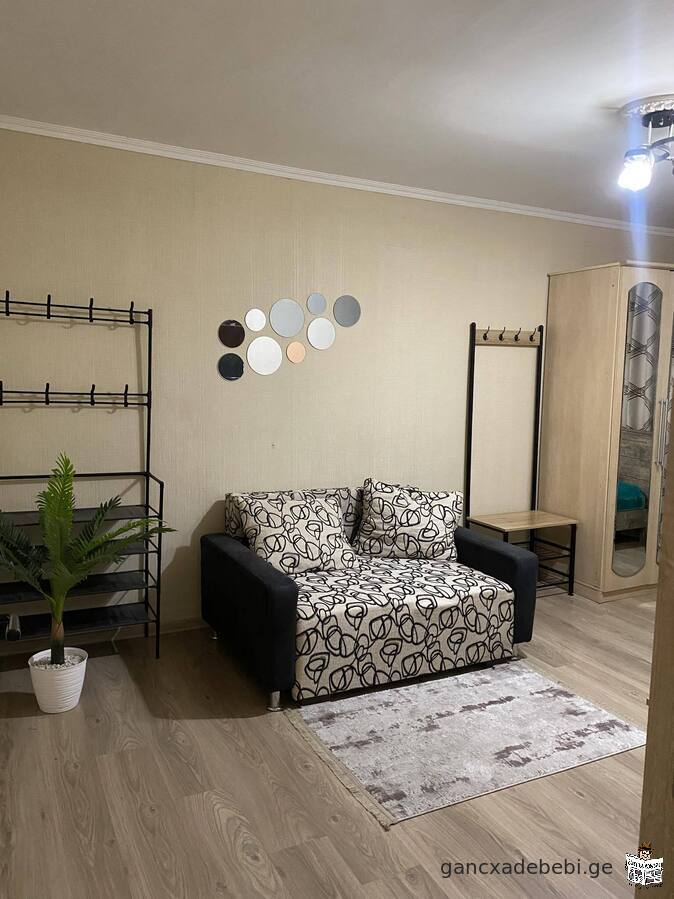 Standard one-room apartment for rent