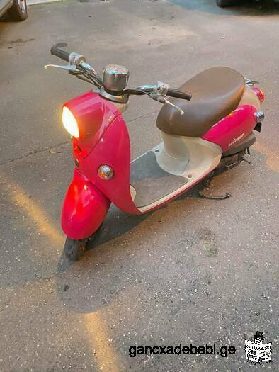 mopeds for rent