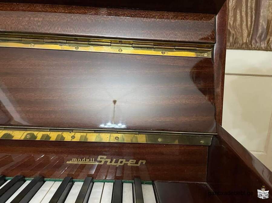 გერმანული პიანინო როინიში