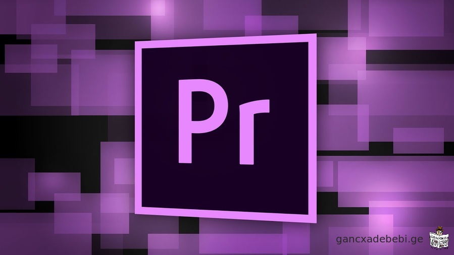 Adobe Premiere Pro - is dayeneba