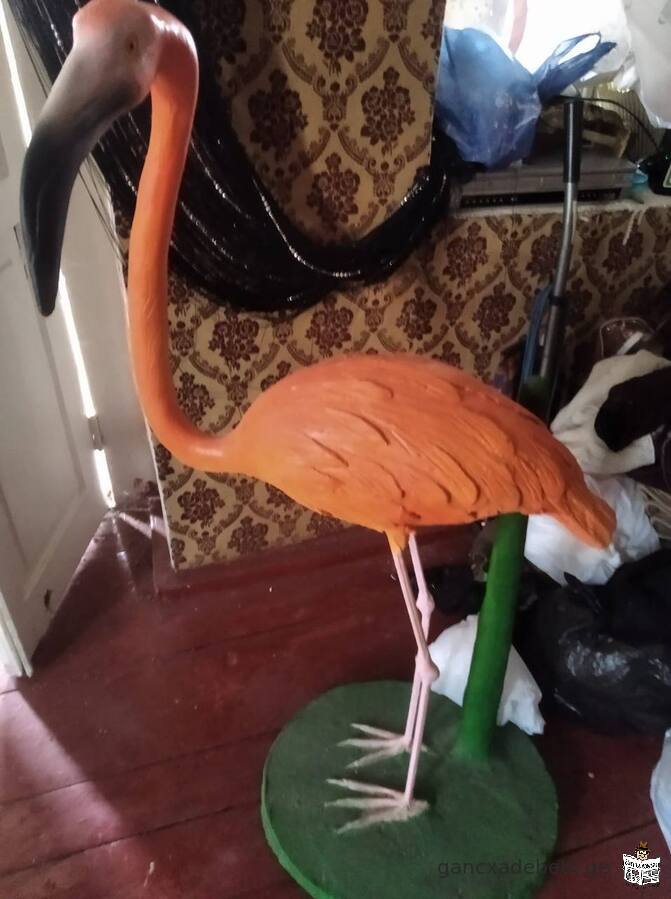 gare sivrcis flamingo