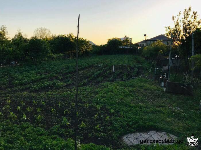 iyideba miwis nakveTi baTumSi saswrafod!