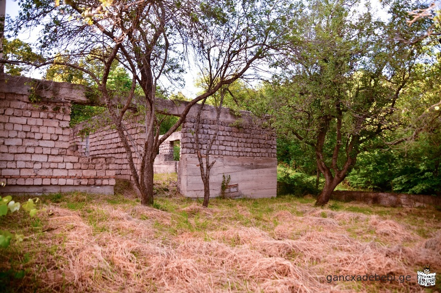 saswrafod iyideba nakveTi kojorSi