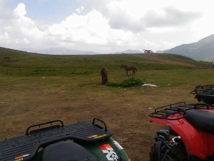 Прекрасная природа и горы Кавказа. Лошади и квадроциклы на прокат в близ Гудаури.