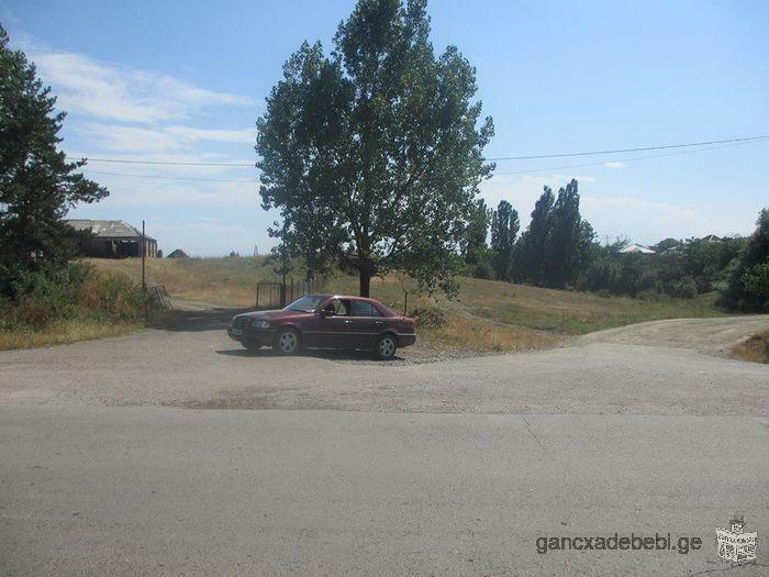 продаётся земля в селе Орбети, рядом с трассой Манглиси - Тбилиси.